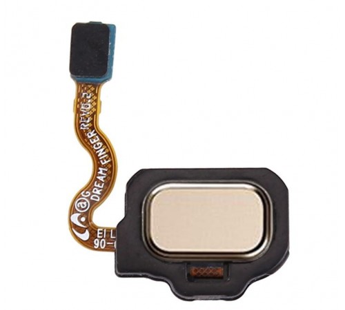 Шлейф для Samsung G950F Galaxy S8, G955F Galaxy S8 Plus, сканера відбитка пальця (Touch ID), золотистий (Maple Gold), v 0.2, Original (PRC)